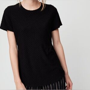 ✅ 2/$20 Aritzia Wilfred Capucine Swiss Dot Black Scoop Neck Top S Minimalist